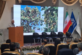 نشست تخصصی&quot; چالش های فضای سبز در مدیریت شهری، فرصت ها و تهدیدها&quot; برگزار شد.