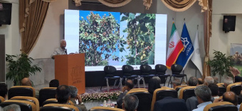 نشست تخصصی&quot; چالش های فضای سبز در مدیریت شهری، فرصت ها و تهدیدها&quot; برگزار شد.